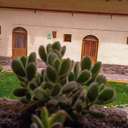 Loki Cusco-2